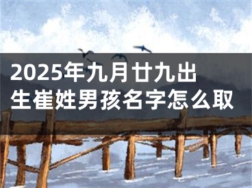 2025年九月廿九出生崔姓男孩名字怎么取