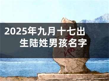 2025年九月十七出生陆姓男孩名字