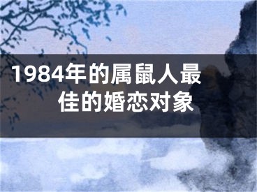 1984年的属鼠人最佳的婚恋对象
