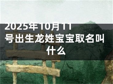 2025年10月11号出生龙姓宝宝取名叫什么