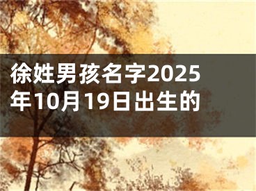 徐姓男孩名字2025年10月19日出生的