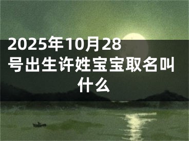 2025年10月28号出生许姓宝宝取名叫什么