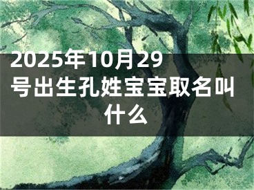 2025年10月29号出生孔姓宝宝取名叫什么