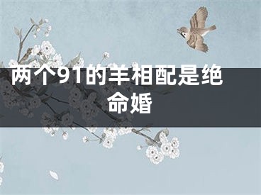两个91的羊相配是绝命婚
