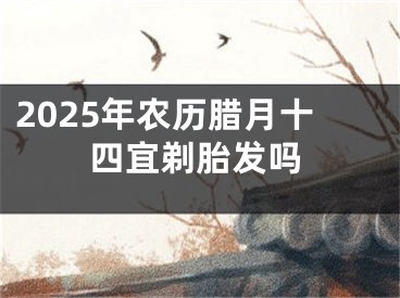 2025年农历腊月十四宜剃胎发吗