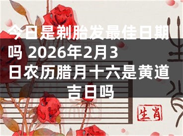 今日是剃胎发最佳日期吗 2026年2月3日农历腊月十六是黄道吉日吗