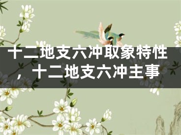 十二地支六冲取象特性，十二地支六冲主事