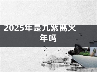 2025年是九紫离火年吗