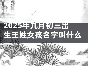 2025年九月初三出生王姓女孩名字叫什么