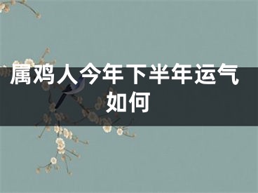 属鸡人今年下半年运气如何