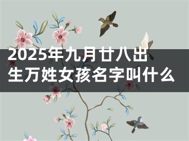2025年九月廿八出生万姓女孩名字叫什么