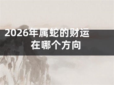 2026年属蛇的财运在哪个方向