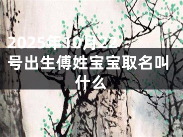 2025年10月22号出生傅姓宝宝取名叫什么