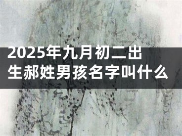 2025年九月初二出生郝姓男孩名字叫什么