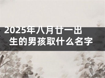 2025年八月廿一出生的男孩取什么名字