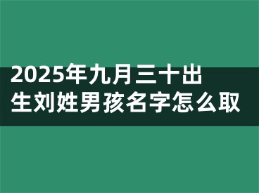 2025年九月三十出生刘姓男孩名字怎么取