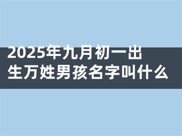 2025年九月初一出生万姓男孩名字叫什么