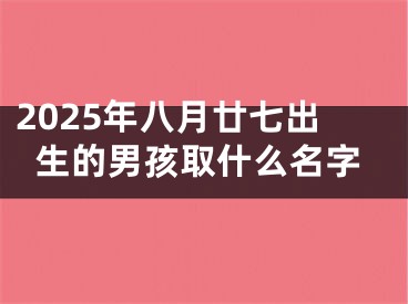 2025年八月廿七出生的男孩取什么名字