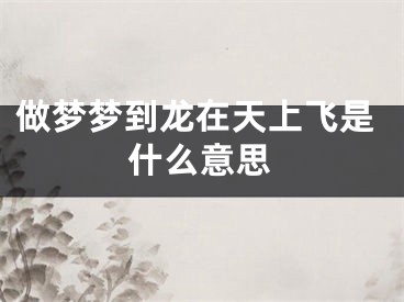 做梦梦到龙在天上飞是什么意思