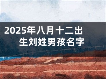 2025年八月十二出生刘姓男孩名字