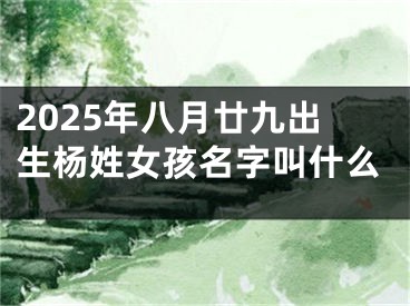 2025年八月廿九出生杨姓女孩名字叫什么