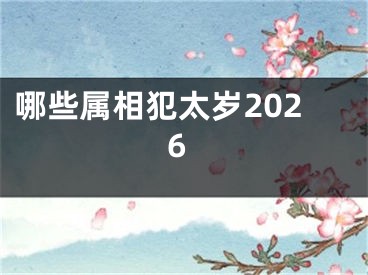 哪些属相犯太岁2026
