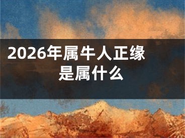 2026年属牛人正缘是属什么