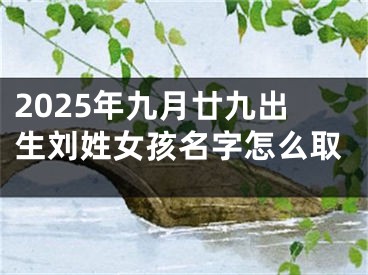 2025年九月廿九出生刘姓女孩名字怎么取