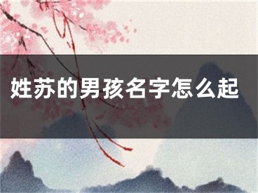 姓苏的男孩名字怎么起