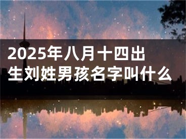 2025年八月十四出生刘姓男孩名字叫什么