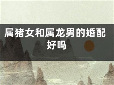 属猪女和属龙男的婚配好吗