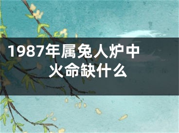 1987年属兔人炉中火命缺什么