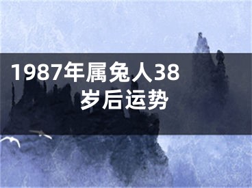 1987年属兔人38岁后运势