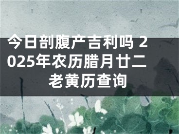 今日剖腹产吉利吗 2025年农历腊月廿二老黄历查询