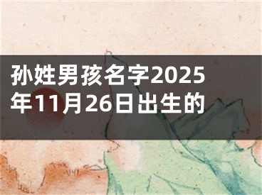 孙姓男孩名字2025年11月26日出生的