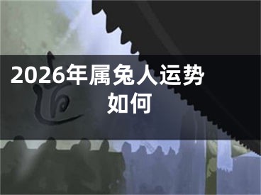 2026年属兔人运势如何