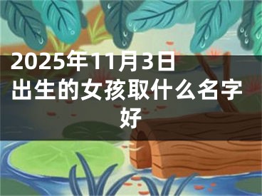 2025年11月3日出生的女孩取什么名字好
