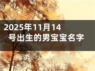 2025年11月14号出生的男宝宝名字