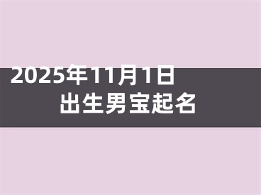 2025年11月1日出生男宝起名