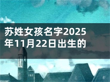 苏姓女孩名字2025年11月22日出生的
