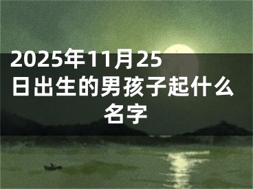 2025年11月25日出生的男孩子起什么名字