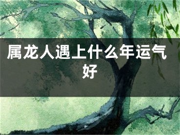 属龙人遇上什么年运气好