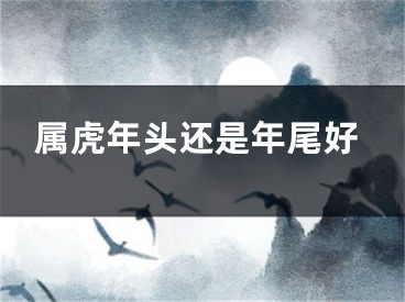 属虎年头还是年尾好