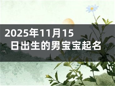 2025年11月15日出生的男宝宝起名