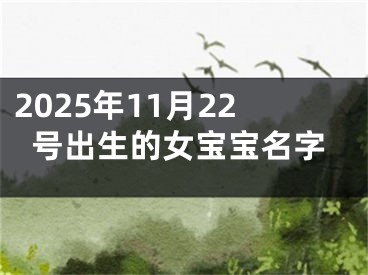 2025年11月22号出生的女宝宝名字