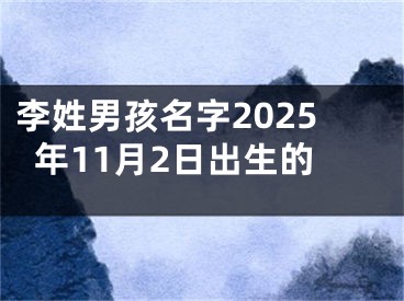 李姓男孩名字2025年11月2日出生的