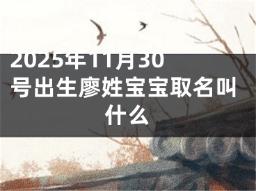 2025年11月30号出生廖姓宝宝取名叫什么