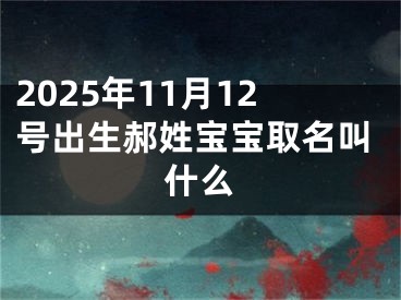 2025年11月12号出生郝姓宝宝取名叫什么