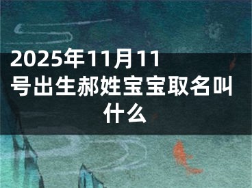 2025年11月11号出生郝姓宝宝取名叫什么