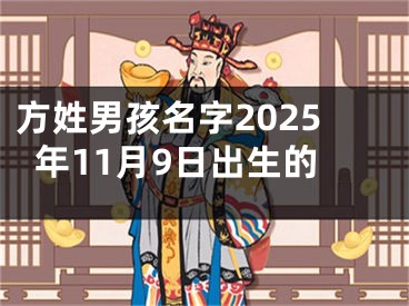 方姓男孩名字2025年11月9日出生的